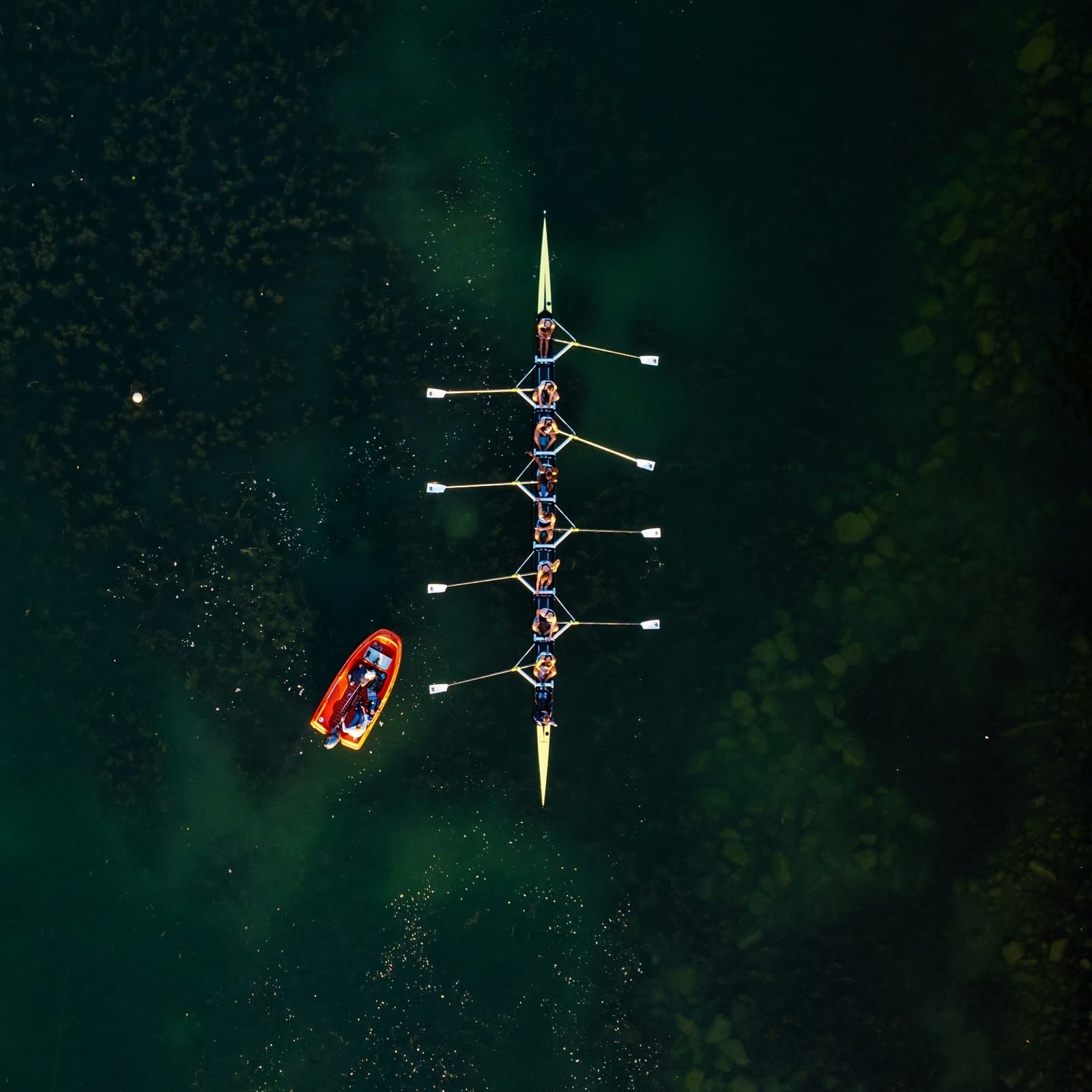 Rowing team representing partnership and coordination